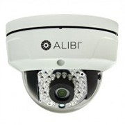 Alibi 1.3 Megapixel 65' IR IP Vandal-proof Outdoor Dome Camera